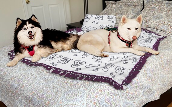 Etsy pet blanket new arrivals