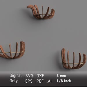 Elegant Wall-Mounted Air Plant Holders - Vector Files for Laser Cutting - dxf, svg, eps, pdf, ai