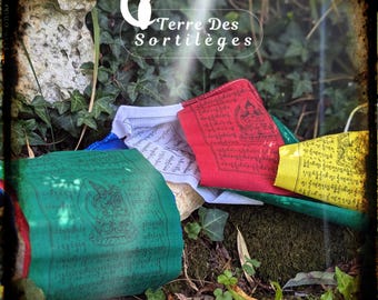 Tibetan prayer flags 10 flags meditation buddhism wall tapestry painting gift idea well-being gratitude devotion