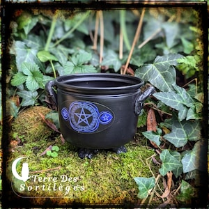 Peut inclure: Chaudron noir avec un design de pentagramme et trois pieds. Le chaudron est posé sur un lit de mousse.