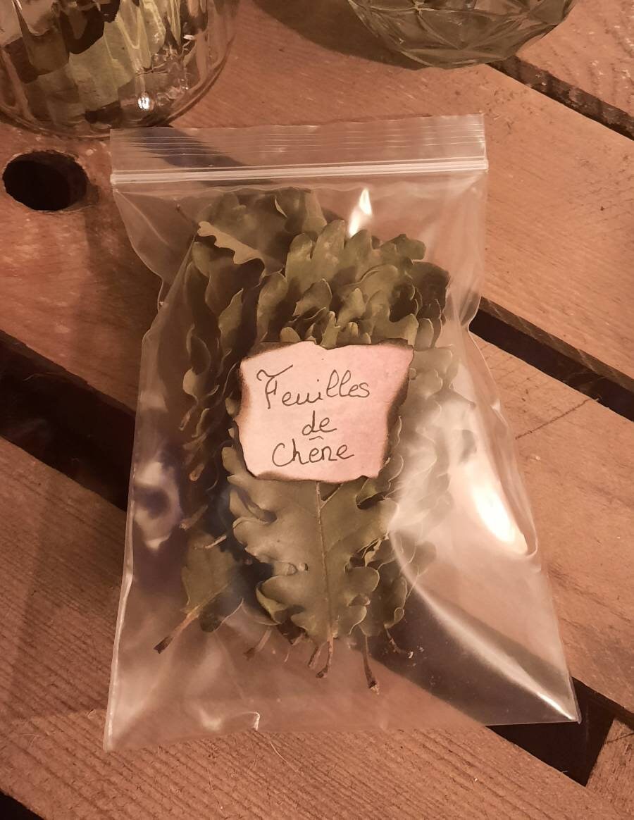 Feuilles de Chêne Séchées