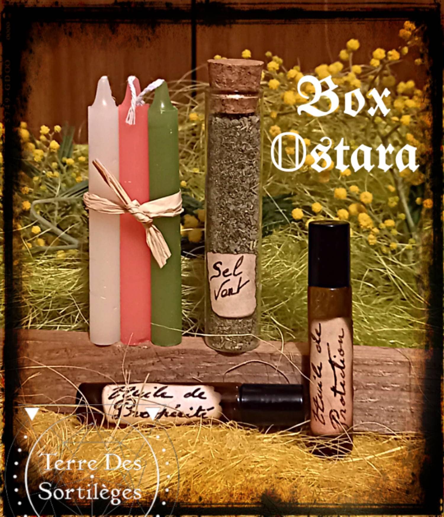 Box Ostara - Sel Vert Huile de Protection Prospérité Spell Candle Wicca Hoodoo Sabbat Sorcelerie