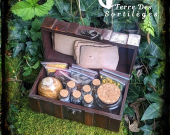 Coffret De Sorcière coffret en bois pierre semi précieuses œuf aragonite  fleurs séchées idée cadeau wicca ésotérique spell jar pentacle