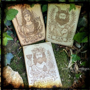 Op de afbeelding: Drie houten platen met gegraveerde afbeeldingen van Griekse goden: Athena, Pan en Dionysos. Elke plaat heeft de naam van de godheid in een banner. De platen liggen op een bed van mos en bladeren, met het logo van de winkel rechtsonder.