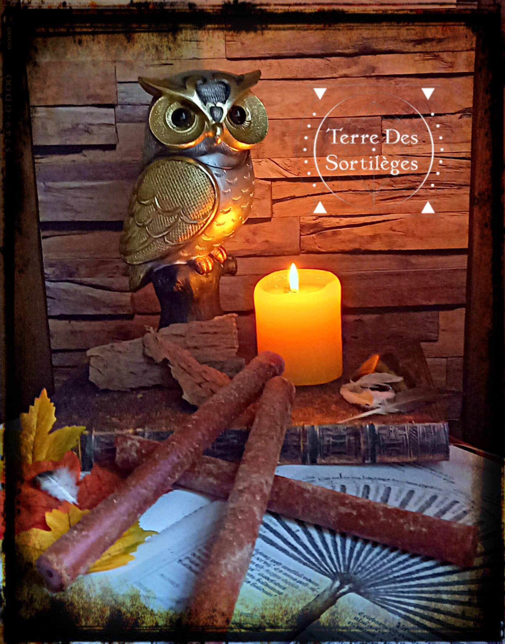 Bougie Rituelle - Protection Des Animaux