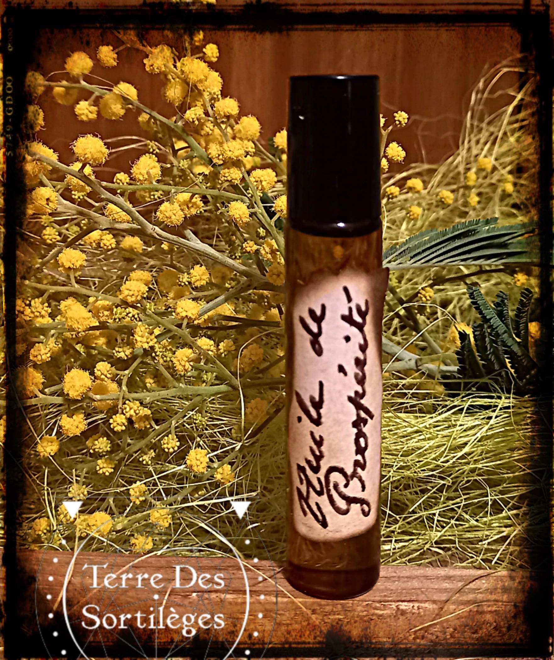 Huile de Prospérité - Hoodoo Wicca Chance Argent Menthe Cannelle Magie Rituel