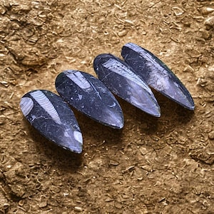 May include: Four dark grey, almond-shaped artificial nails with a marbled appearance are arranged on a textured, golden-brown surface. The nails have a glossy finish and a unique, naturalistic design.