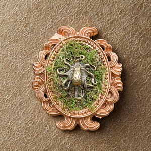 Bläckfiskram, kuriosakabinett, märkligt dekorativt föremål, naturalistisk konst, samling, naturhistorisk samling, gotisk samling