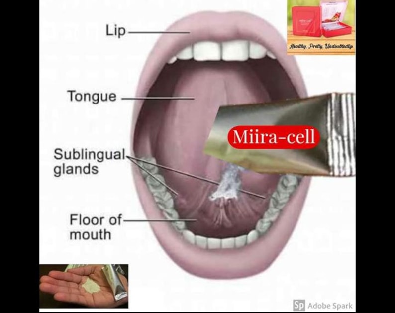 Miira-cell zdjęcie 2