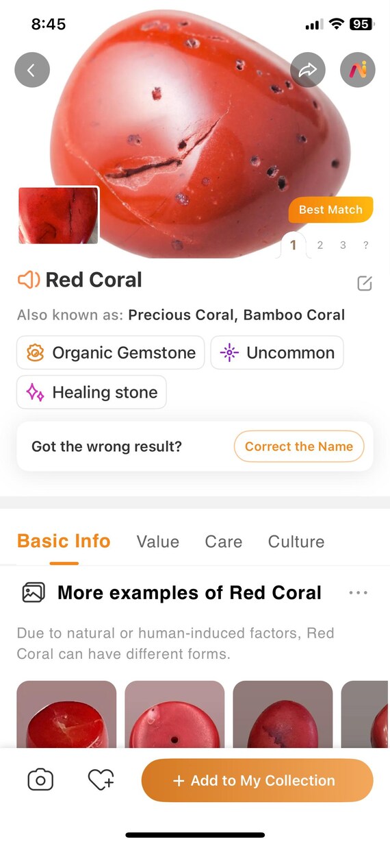 Red Coral Teardrop with Snowflake Obsidian and On… - image 6