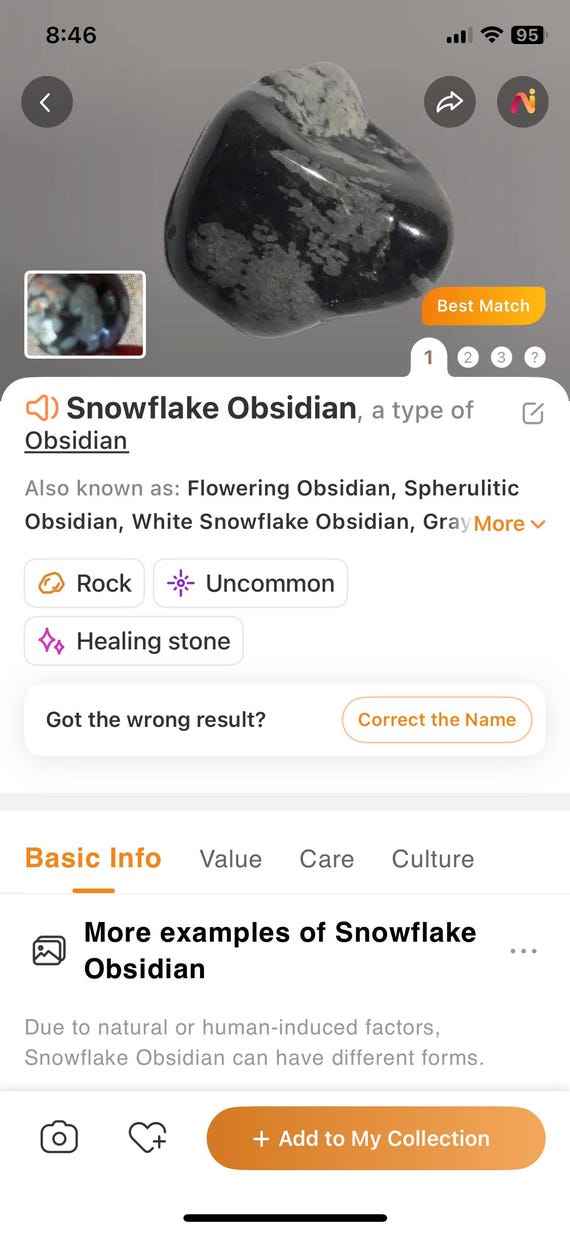 Red Coral Teardrop with Snowflake Obsidian and On… - image 5