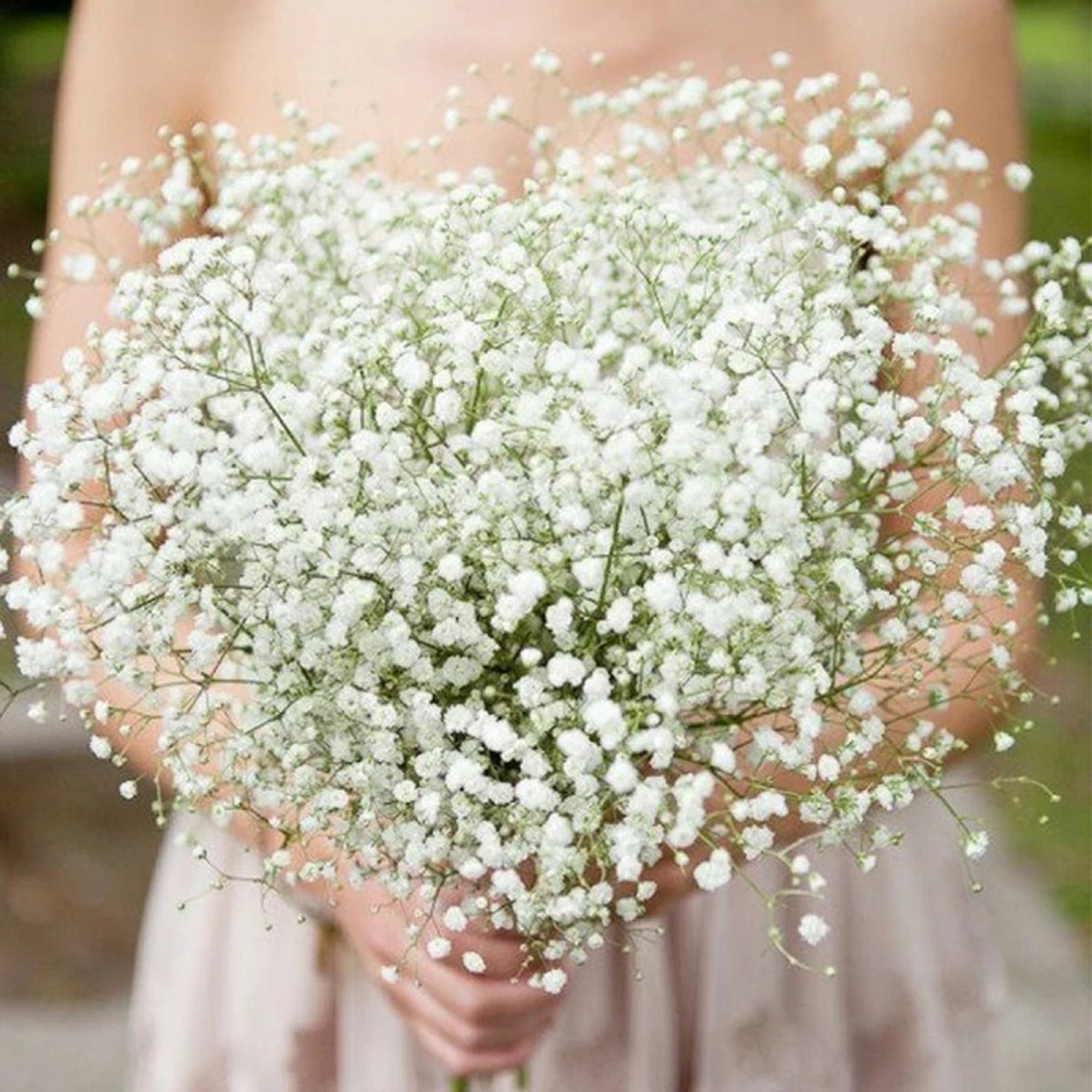 10pcs 30 Bunches White Babys Breath Artificial Flowers Real Touch Fake Gypsophila Faux Plants for Wedding Garland Wreath Girl Crown Flower Bonquet