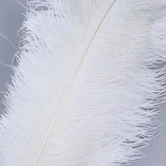 10 pcs 35-40cm/14-16inch Wedding Ostrich Feathers Crafts White