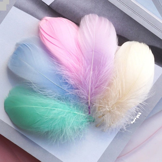 Colorful Natural Feathers for Crafts DIY Wedding Party Decoration 300 Pcs