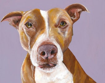 Tan Pitbull Dog Portrait