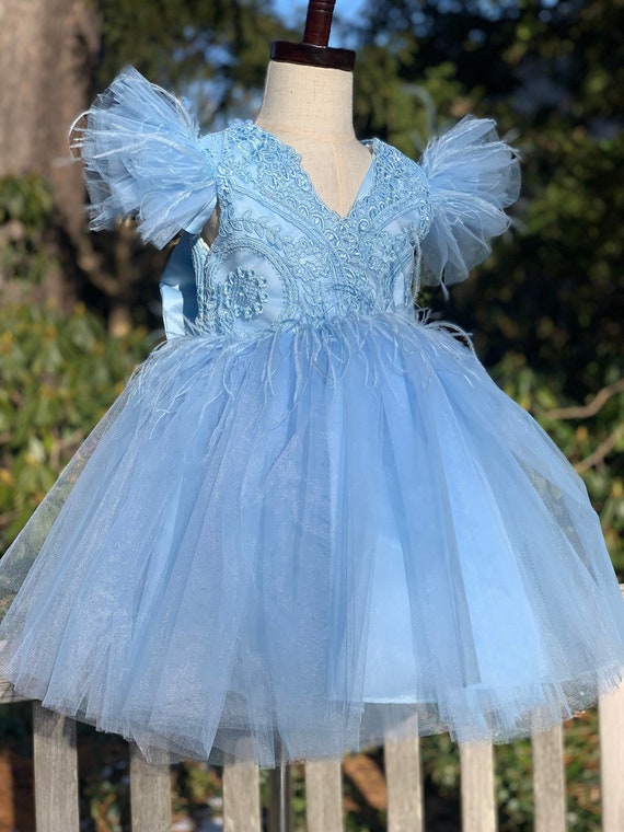 Ruffles Skirt Glitter Horse Hair Flower Girl Dress Sky Blue 5829SB –  Sparkly Gowns