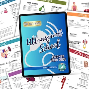 Note sull'addome ecografico, guida allo studio per studenti di ecografia, note per ecografisti, foglio riassuntivo per ecografia, appunti della scuola DMS, studenti di ecografia