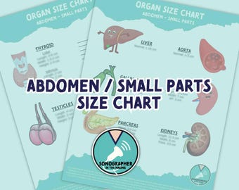 Ultrasound Study Notes, Organ size chart Abdomen, Ultrasound Student Cheat Sheet, Ultrasound Technician, Sonography student Study