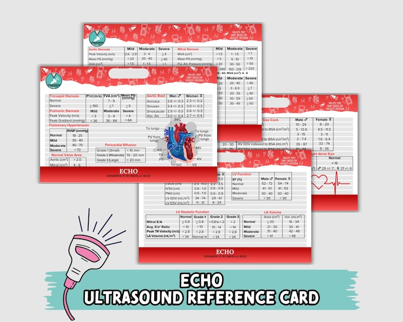 Ultrasound Badge Buddy Reel Quick Reference Guide, Sonographer Cheat ...