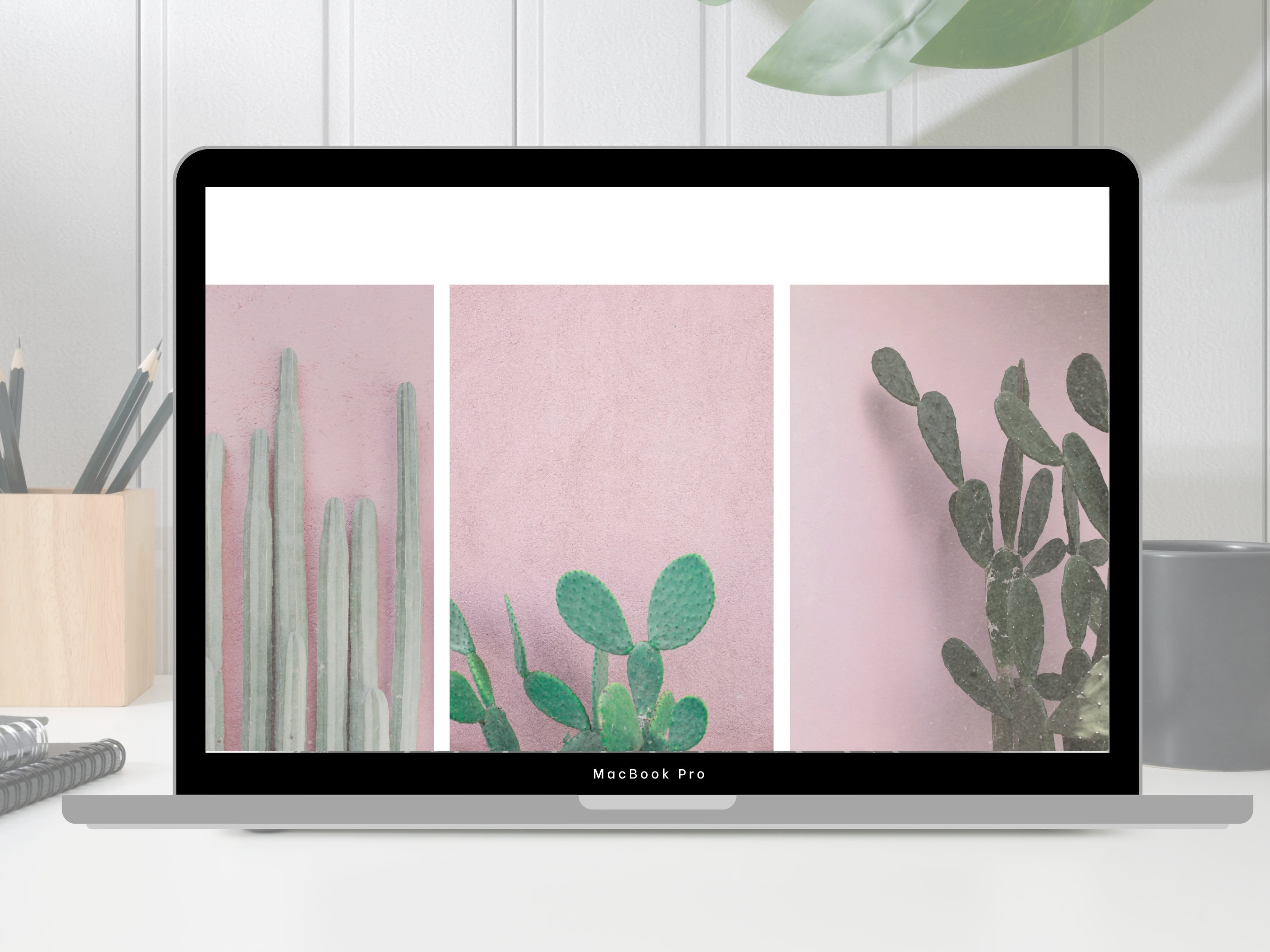 Pink Cactus Desktop Wallpaper - Plant Lover Background- Plant Aesthetic