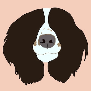 Custom Pet Portrait | Cartoon Pet Drawing from Photo (Digital Download)