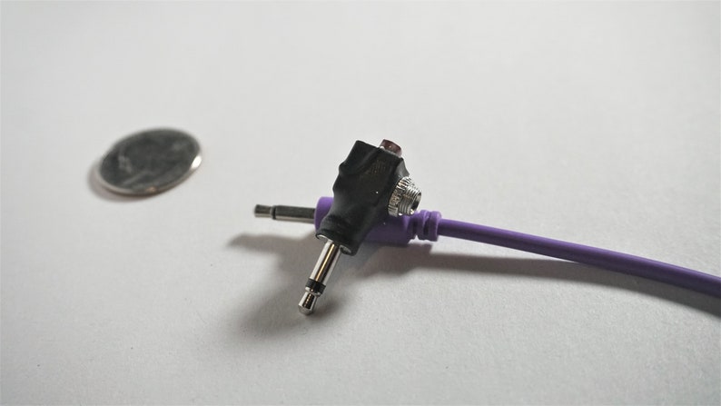 May include: A purple audio cable with a black adapter that has a 3.5mm jack on one end and a 1/4 inch jack on the other end.