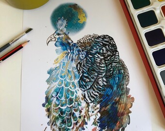 Peacock- original artwork, hand illustrated and painted print- A4
