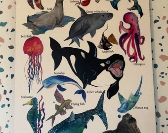 A3 Marine Life Print