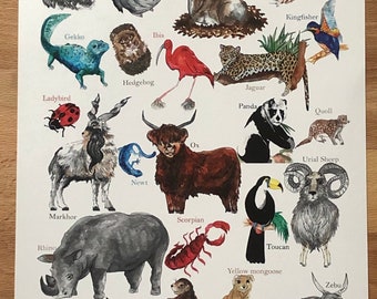 A3 Animal Alphabet Print (Anteater to Zebu)