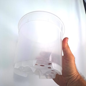 Puede incluir: Una maceta de plástico transparente con agujeros de drenaje en el fondo. La maceta está siendo sostenida en la mano de una persona.