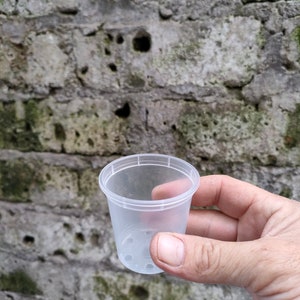 Op de afbeelding: Een doorzichtige plastic plantenpot met drainagegaten. De pot wordt in een hand gehouden.