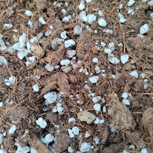 Puede incluir: Primer plano de tierra marrón con objetos blancos, redondos y parecidos a guijarros esparcidos por todas partes.