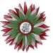 see more listings in the Christmas Wreaths section