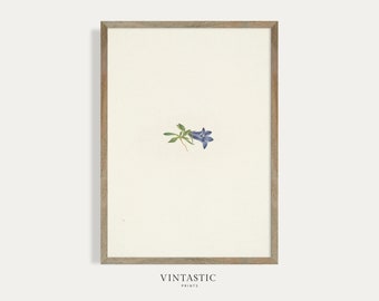 Vintage Minimalist Blumendruck | Neutrale botanische Malerei | Bauernhaus Dekor Digital PRINTABLE | 130