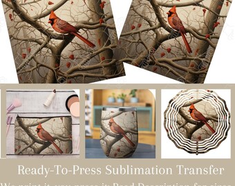 Cardinal/ Male Cardinal/ Birds/Red Birds/ Ready to Press Sublimation Transfer/ Sublimation Design/ Sublimation Transfer/ Heat Transfers/