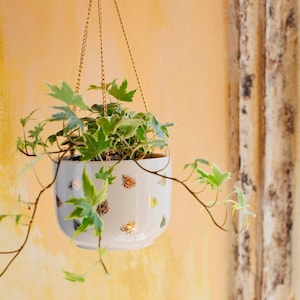 May include: A white ceramic hanging planter with a gold chain and a pattern of gold bees. The planter is filled with green and white variegated ivy.