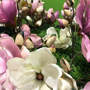 Białe i różowe magnolie. Do pobrania pełnokolorowy wydruk ścienny. Fotografia, cyfrowo ulepszona. Tło.