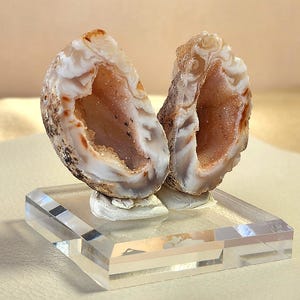May include: Two halves of a geode, showcasing a crystal-lined interior with shades of peach and brown. The outer shell is a mix of white, brown, and tan. The geode is mounted on a clear, rectangular acrylic base, creating a display.