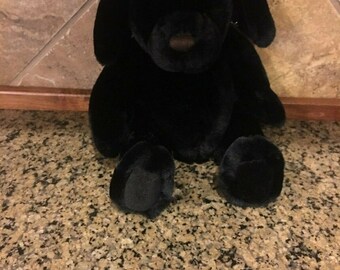 black dog teddy