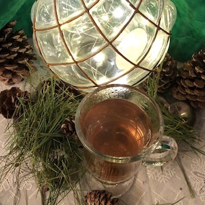WHITE PINE 200 Cups Pacific NW White Pine Needle Tea Fresh Organic White Pine