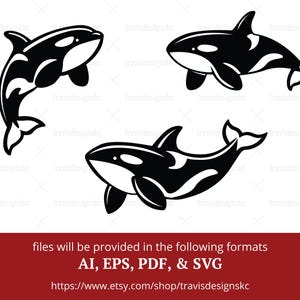 Killer whale SVG Orca SVG Killer whale silhouette vector Orca decal SVG Orca sticker svg Orca vector Orca logo svg Orca Clipart orca whale