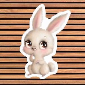 Naszywka ze sztucznej skóry, kolorowa naszywka ze sztucznej skóry, nadrukowana naszywka ze sztucznej skóry, panel ze skóry ekologicznej - piszcząca koszulka RABBIT(P1)