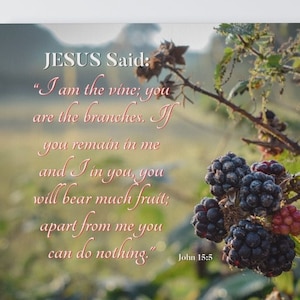 Christian Canvas | Bible Verse Canvas,Christian home decor depicting John 15:5 Orchard View is a Great gift for new homeowner