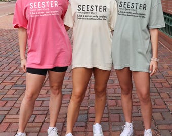 Seester Shirt Gift For Sister Gift For Soul Sister Seester Noun Shirt Seester Definition Sister Definition Cool Sister Gift Matching Sisters