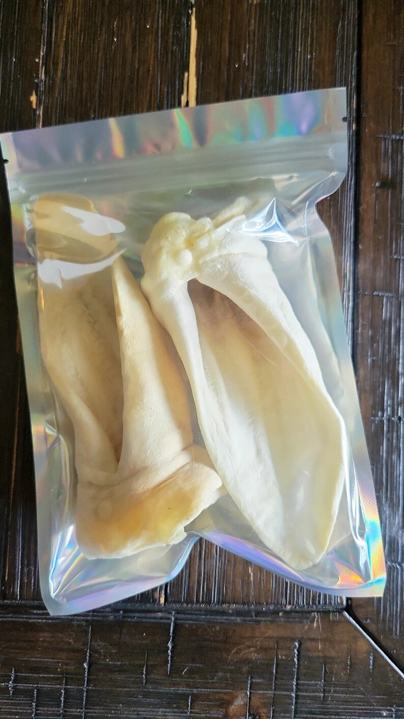 Lamb Ear Dog Chew / Natural Dehydrated Dog Chew Etsy