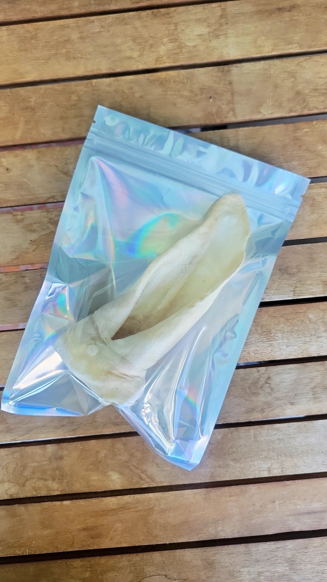 Lamb Ear Dog Chew / Natural Dehydrated Dog Chew Etsy