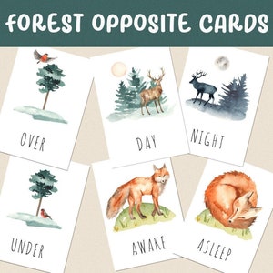 Tarjetas didácticas de opuestos de bosques para educación en el hogar, prekínder o jardín de infantes