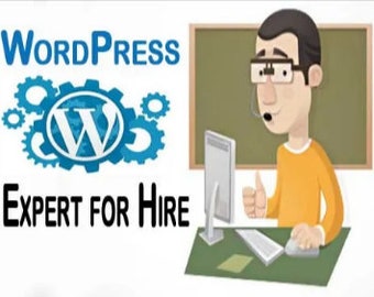 Lavorerò per 1 ora in relazione al sito Web WordPress o agli aggiornamenti.