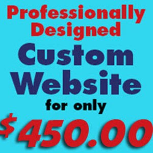 May include: A blue and red graphic with the text "Professionally Designed Custom Website for only $450.00"