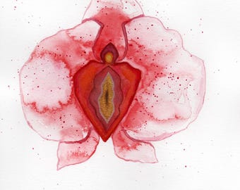 Vaginaning yaqindan olingan fotosurati